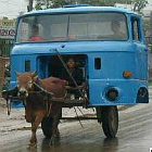 Avatar de l’utilisateur