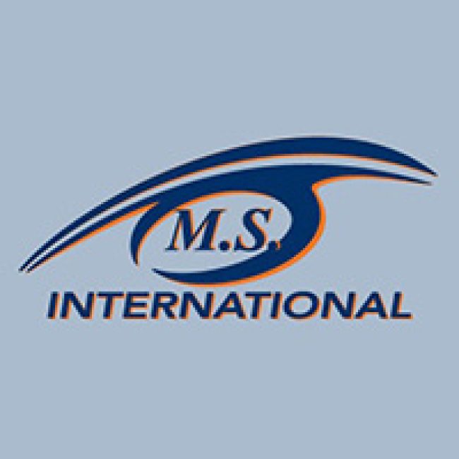 M S International