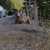 Avatar de l’utilisateur