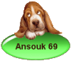 Avatar de l’utilisateur