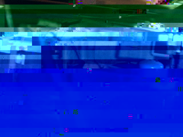 Image5.jpg