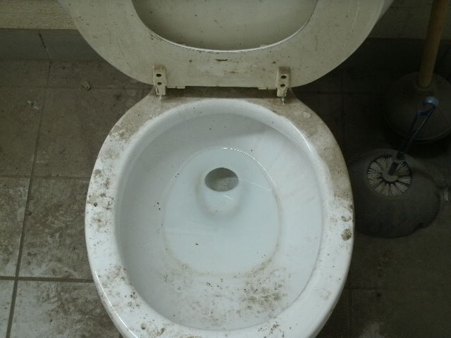 010.JPG