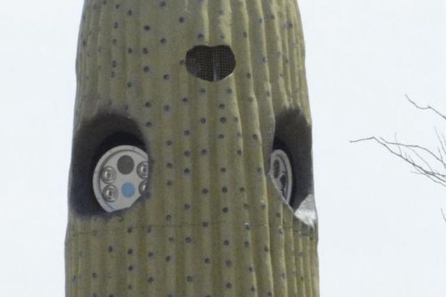 Caméras et cactus en Arizona