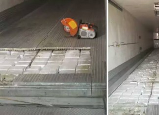 3850 livres de marijuana cachées dans une semi-remorque
