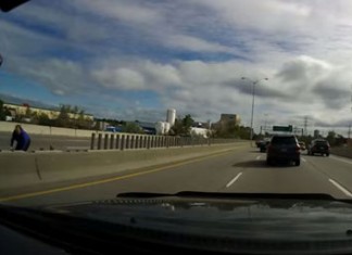 Une femme ramasse des canards sur la 417 à Ottawa (vidéo)