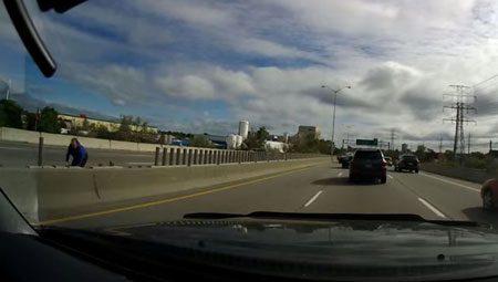 Une femme ramasse des canards sur la 417 à Ottawa (vidéo)