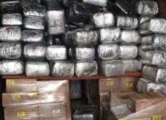 Plus de 7 tonnes de marijuana saisies dans le sud de la Californie
