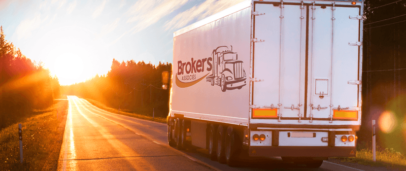 Déjà 1 an pour Brokers Associés