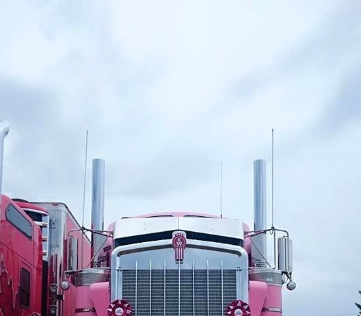 Les grands gagnants du Show & Shine de Notre-Dame-du-Nord