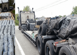 Un camionneur canadien arrêté en Nouvelle-Écosse pour trafic de drogues