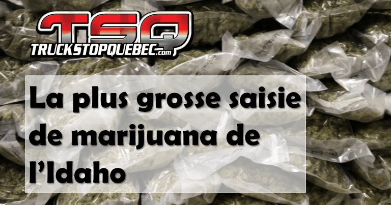 Quand les documents de voyage ne correspondent pas au chargement…