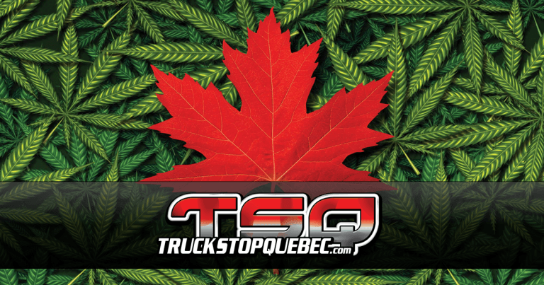 Trudeau refuse de dévoiler qui sont les actionnaires des entreprises dans le dossier du pot