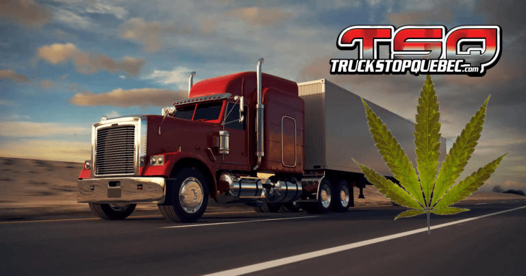 Conduite avec les facultés affaiblies par la drogue : révision des politiques d&rsquo;évaluation