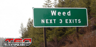 L’influence de la marijuana sur les routes : des chiffres à la hausse