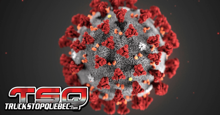 Comment assurer la sécurité des conducteurs et limiter la propagation de la COVID-19?
