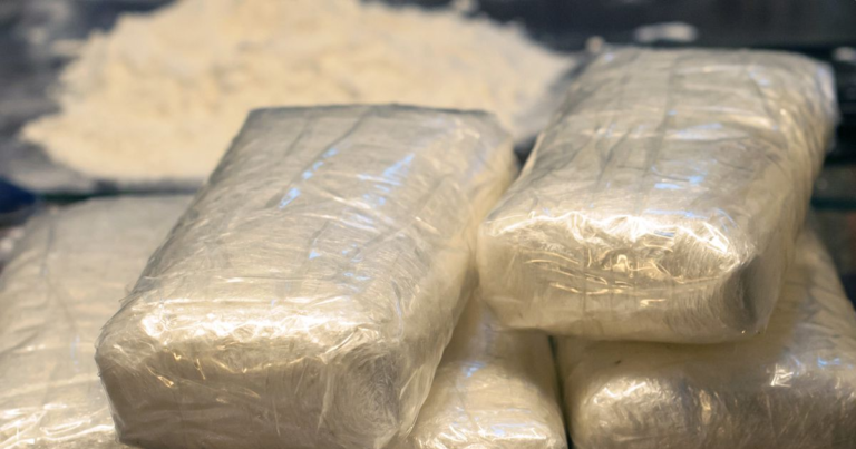 Saisie de drogues : La Covid-19 ne freine pas le travail des agents frontaliers