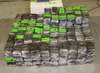 Texas : 6,5 millions en stupéfiants retrouvés dans un camion