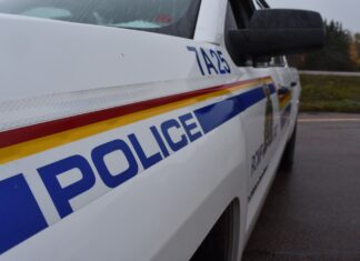 Terre-Neuve : collision mortelle impliquant un camion semi-remorque et un VUS