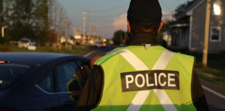 68 collisions mortelles cet été