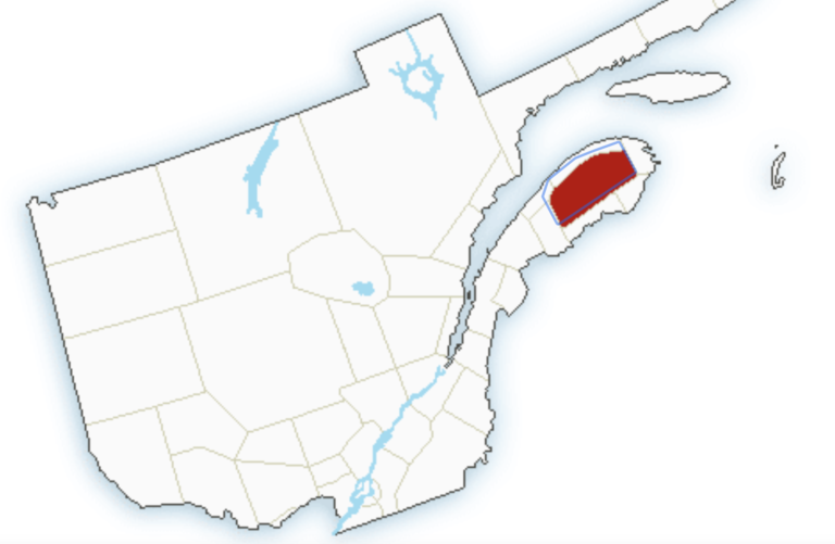 Gaspésie : avertissement de neige