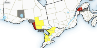 Jusqu’à 20 cm de neige en Ontario
