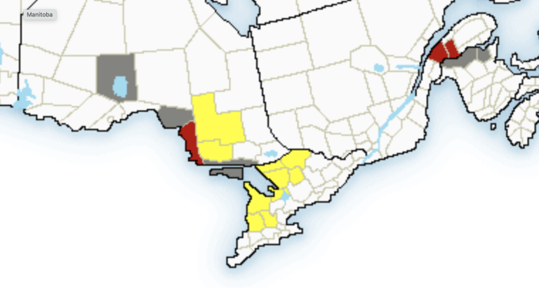 Jusqu&rsquo;à 20 cm de neige en Ontario