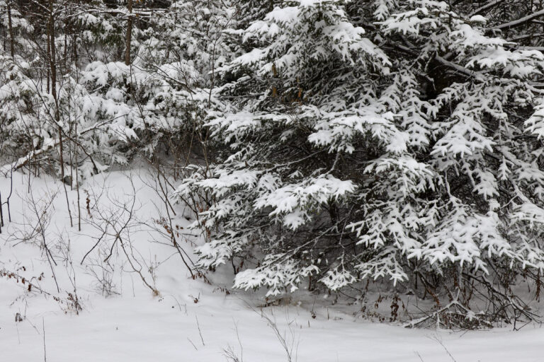 Il fera froid à Ottawa