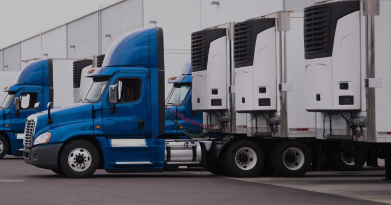 Un nouveau service 3PL de solutions logistiques d’importation pour Drakkar Logistique et Trinet