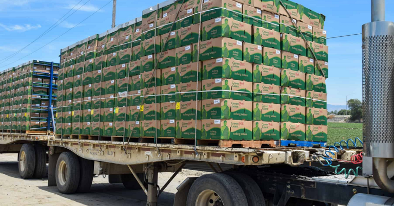 Changements climatiques en Californie : Impact sur le transport de fruits et légumes au Québec
