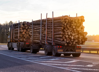 Impact des feux de forêts sur l’industrie forestière