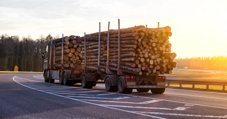 Impact des feux de forêts sur l&rsquo;industrie forestière