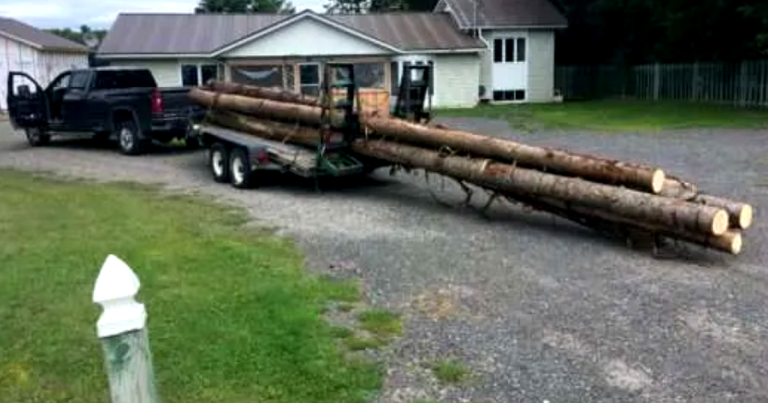 Un chargement de troncs qui coûte plus cher que prévu…