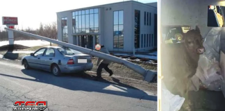 Contrôle Routier Québec : Une image vaut mille veaux… maux… MOTS!