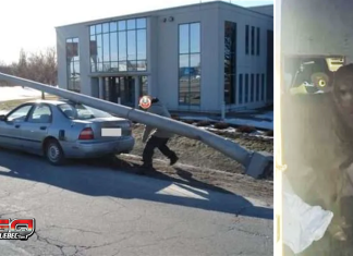 Contrôle Routier Québec : Une image vaut mille veaux… maux… MOTS!