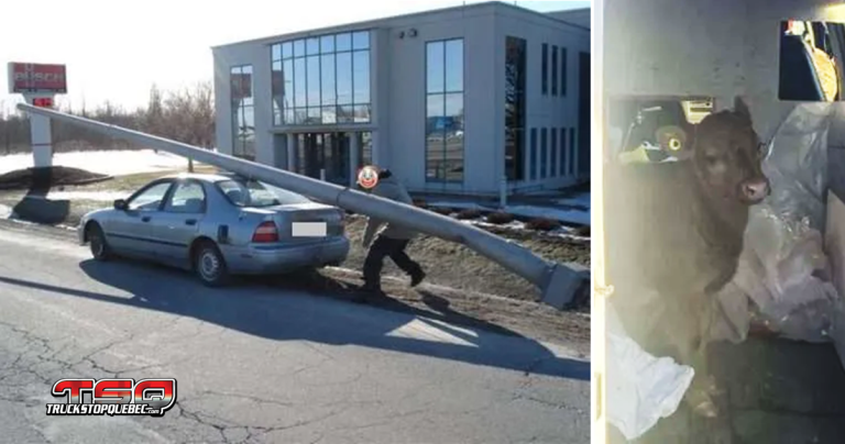 Contrôle Routier Québec : Une image vaut mille veaux… maux… MOTS!