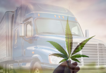 Impact des tests de marijuana sur le camionnage aux États-Unis
