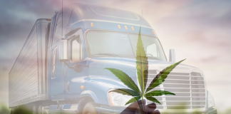 Impact des tests de marijuana sur le camionnage aux États-Unis