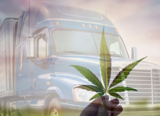 Impact des tests de marijuana sur le camionnage aux États-Unis