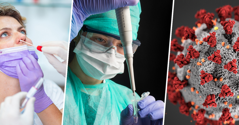 Action collective autorisée contre Facebook pour censure durant la pandémie