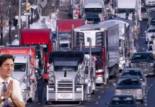 Avec qui feriez-vous un voyage en camion?