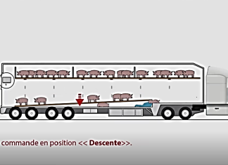 Camionneur sévèrement blessé lors d’un chargement de porcs