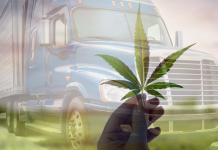 Impacts potentiels de la reclassification du cannabis pour le camionnage aux USA
