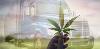 Impacts potentiels de la reclassification du cannabis pour le camionnage aux USA