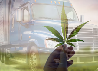 Légalisation du cannabis: nouveau bilan chez les camionneurs