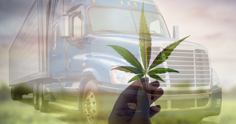 Légalisation du cannabis: nouveau bilan chez les camionneurs