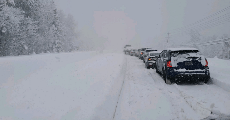 Tempête hivernale majeure : route 11 fermée et conditions de conduite dangereuses en Ontario