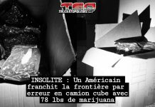Un Américain franchit la frontière par erreur en camion cube avec 78 lbs de marijuana Photo de boites contenant des sacs de cannabis scellés, saisis à la frontière par les douaniers américains dans un camion cube.