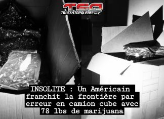 Un Américain franchit la frontière par erreur en camion cube avec 78 lbs de marijuana Photo de boites contenant des sacs de cannabis scellés, saisis à la frontière par les douaniers américains dans un camion cube.