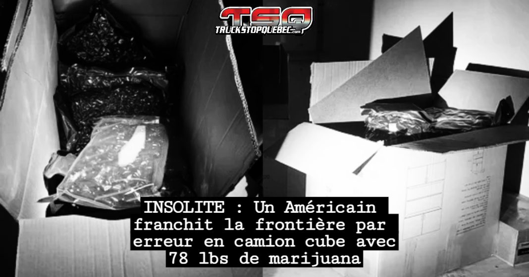 Photo de boites contenant des sacs de cannabis scellés, saisis à la frontière par les douaniers américains dans un camion cube.