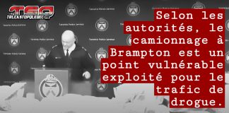 Camionnage, exploitation et drogue : Saisie de drogue record Photo d’une saisie de drogue à Toronto en 2024 montrant plusieurs blocs de cocaïne emballés et disposés sur une table, pour introduire le sujet de l'article Camionnage, exploitation et drogue : Brampton sous les projecteurs après une saisie record.